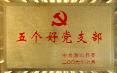 五个好党支部